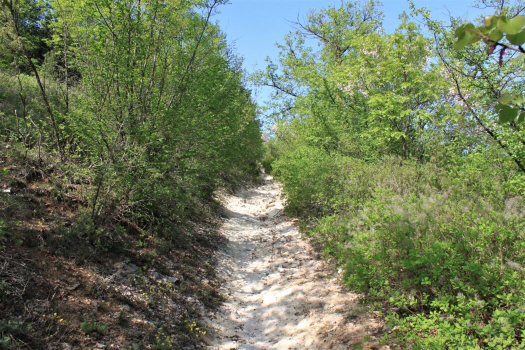 Escursione nei Colli Berici: La Pietra Tenera di Vicenza Escursione nei Colli Berici: La Pietra Tenera di Vicenza desktop picture