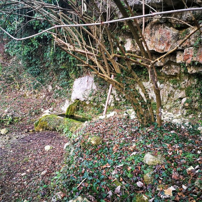Escursione nei Colli Berici: La Pietra Tenera di Vicenza Escursione nei Colli Berici: La Pietra Tenera di Vicenza desktop picture