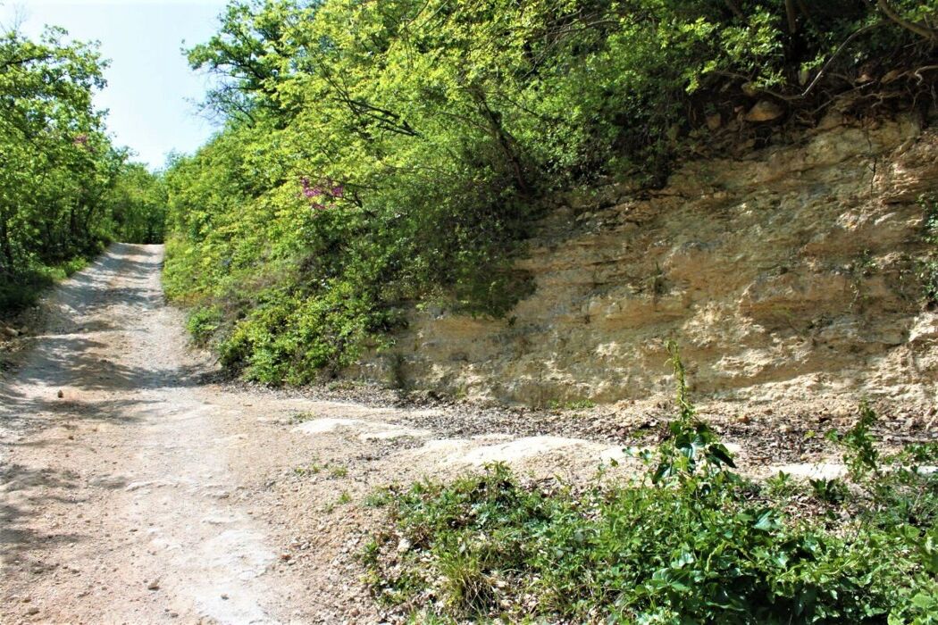 Escursione nei Colli Berici: La Pietra Tenera di Vicenza Escursione nei Colli Berici: La Pietra Tenera di Vicenza desktop picture