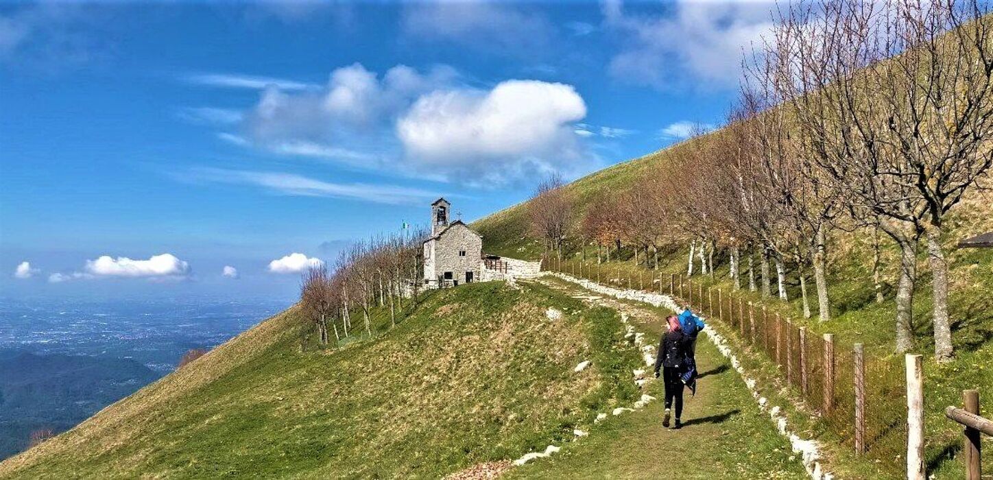 Escursione Anello Linzone: Natura e Panorami Mozzafiato Escursione Anello Linzone: Natura e Panorami Mozzafiato desktop picture