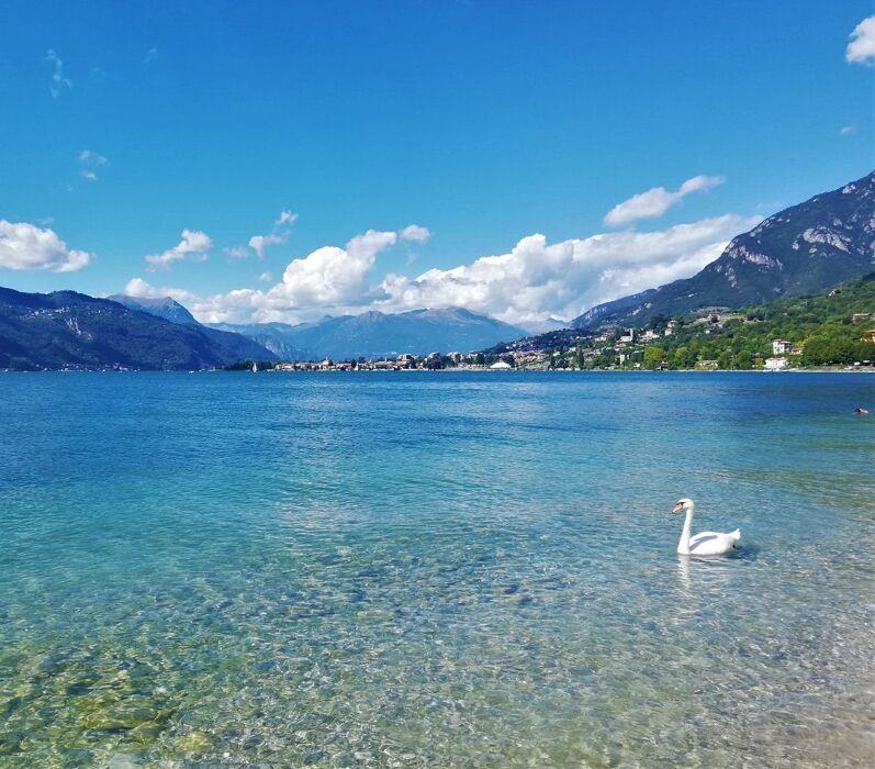 Escursione alla Cascata del Cenghen: il “gioiello” della Grigna Escursione alla Cascata del Cenghen: il “gioiello” della Grigna desktop picture