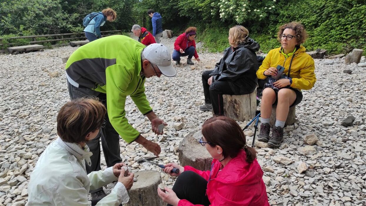 Trekking a Bolca: Scopri Fossili, Coralli e Panorami Mozzafiato Trekking a Bolca: Scopri Fossili, Coralli e Panorami Mozzafiato desktop picture