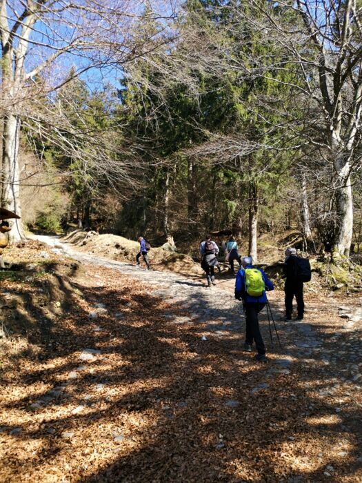 Camminata al tramonto nel Bosco Incantato degli Gnomi Camminata al tramonto nel Bosco Incantato degli Gnomi desktop picture