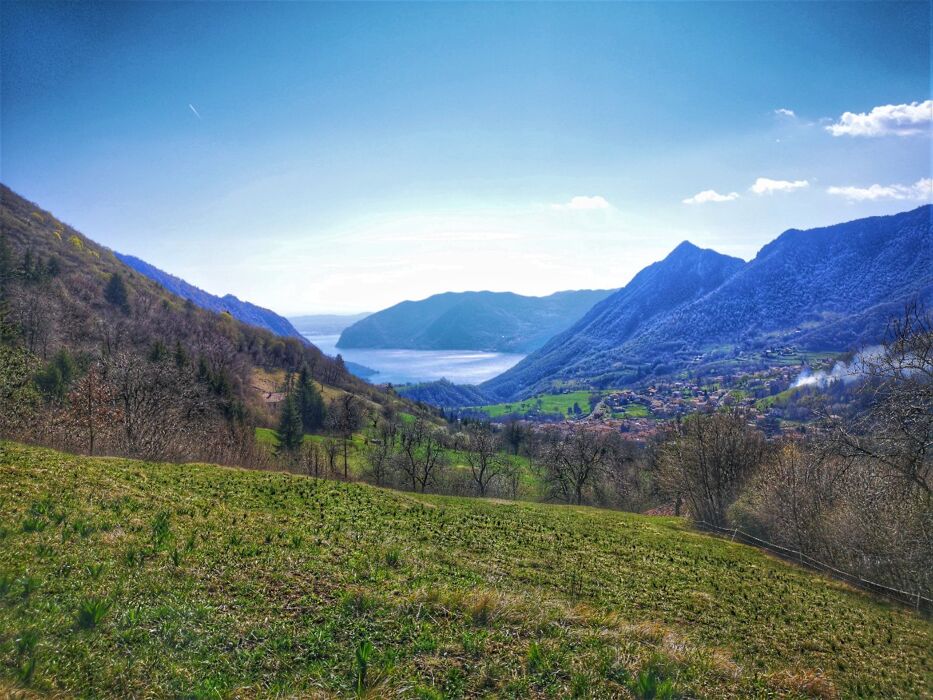 Camminata nel Bosco Incantato degli Gnomi di Zone Camminata nel Bosco Incantato degli Gnomi di Zone desktop picture