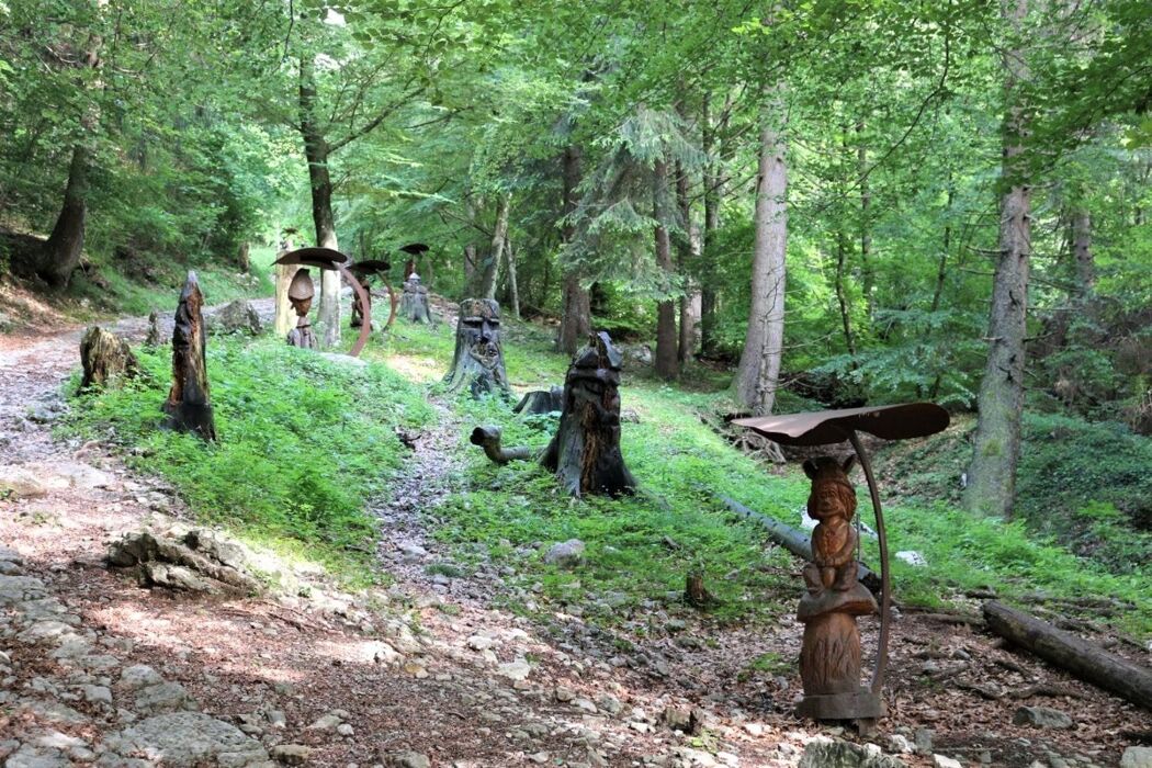 Camminata al tramonto nel Bosco Incantato degli Gnomi Camminata al tramonto nel Bosco Incantato degli Gnomi desktop picture