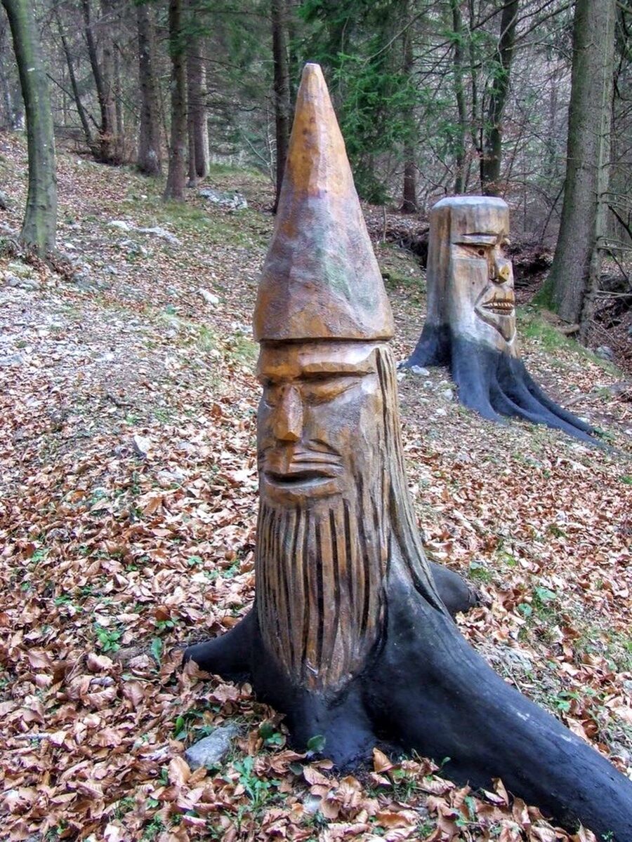 Camminata nel Bosco Incantato degli Gnomi di Zone Meeters