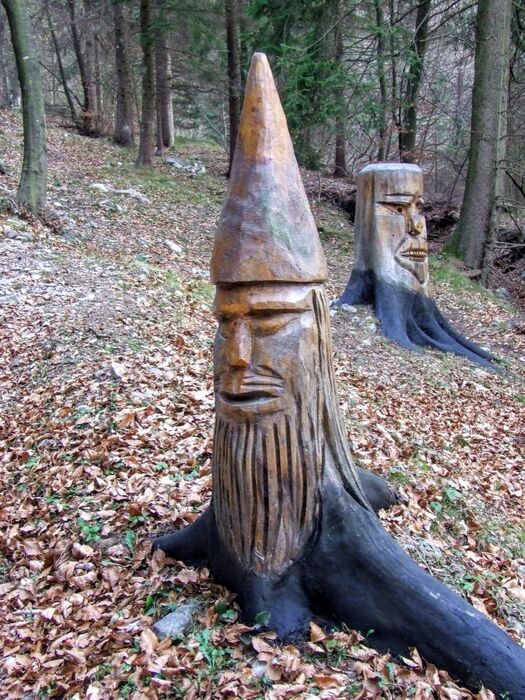 Camminata al tramonto nel Bosco Incantato degli Gnomi Camminata al tramonto nel Bosco Incantato degli Gnomi desktop picture