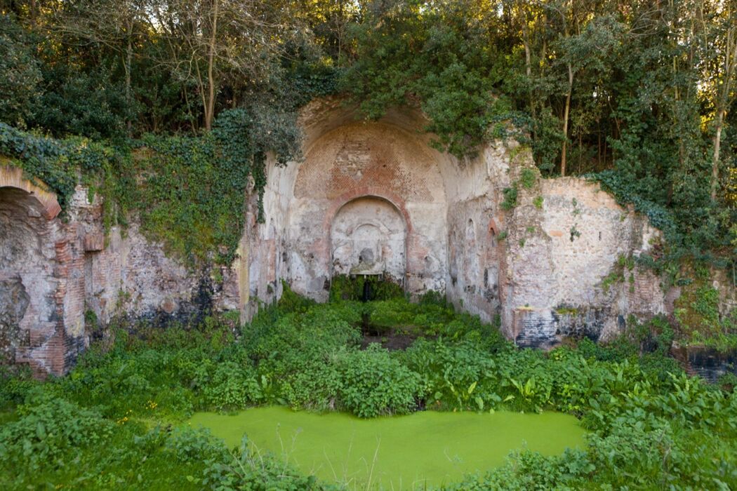 Valle della Caffarella: Trekking e Birdwatching tra Antichi Monumenti Valle della Caffarella: Trekking e Birdwatching tra Antichi Monumenti desktop picture