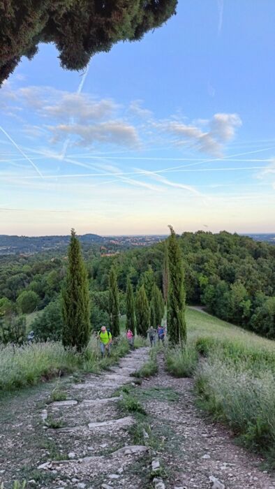 Passeggiata serale con picnic e lucciolata sulla Piramide di Montevecchia Passeggiata serale con picnic e lucciolata sulla Piramide di Montevecchia desktop picture