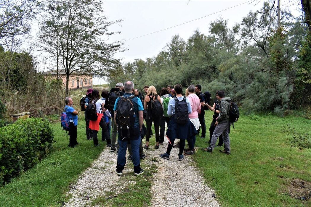 Escursione nel Delta del Po: tra foreste pluviali e fenicotteri rosa Escursione nel Delta del Po: tra foreste pluviali e fenicotteri rosa desktop picture