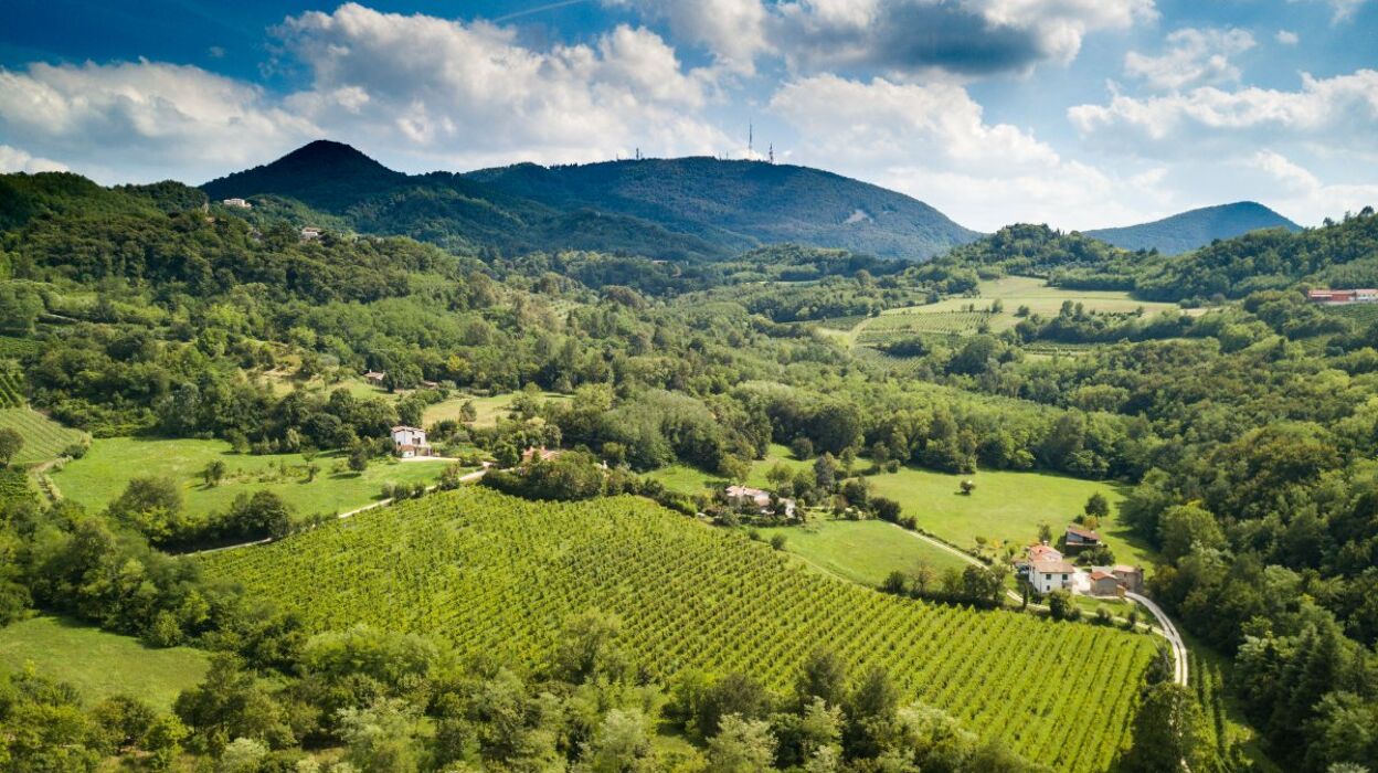 Meeters Family: Escursione tra natura e animali dei Colli Euganei Meeters Family: Escursione tra natura e animali dei Colli Euganei desktop picture