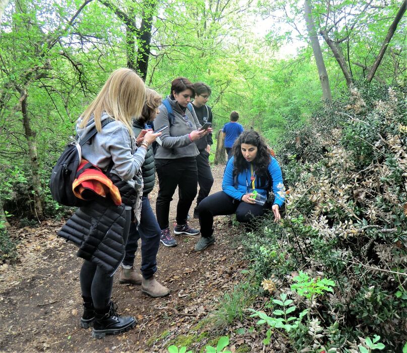 Meeters Family: Escursione tra natura e animali dei Colli Euganei Meeters Family: Escursione tra natura e animali dei Colli Euganei desktop picture
