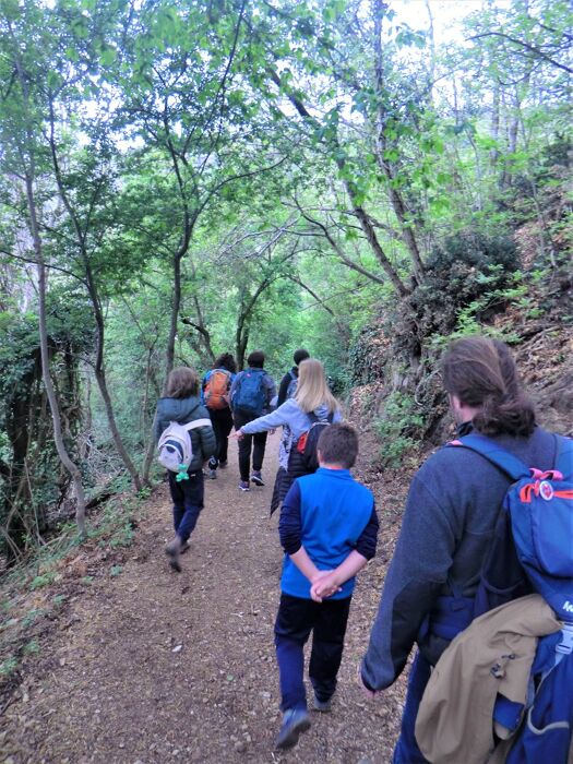 Meeters Family: Escursione tra natura e animali dei Colli Euganei Meeters Family: Escursione tra natura e animali dei Colli Euganei desktop picture
