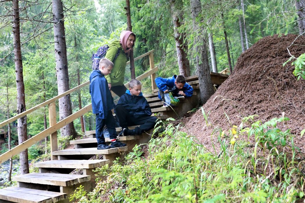 Meeters & Gengle: Passeggiata con figli nei Gessi Bolognesi Meeters & Gengle: Passeggiata con figli nei Gessi Bolognesi desktop picture