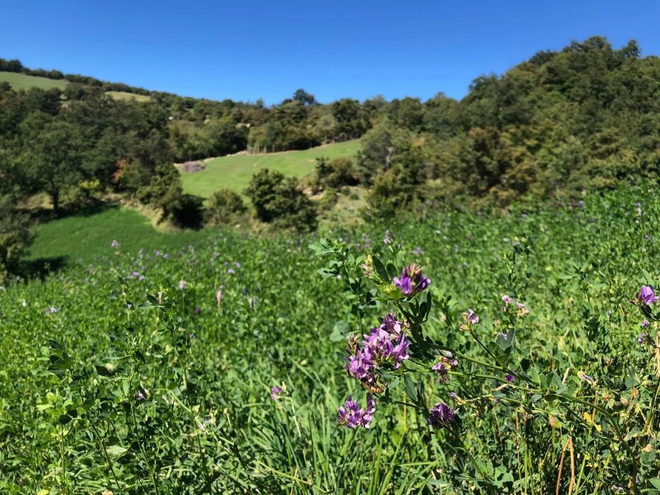 Trekking sull'Antica Via Di Linari: in cima al Monte Fuso Trekking sull'Antica Via Di Linari: in cima al Monte Fuso desktop picture