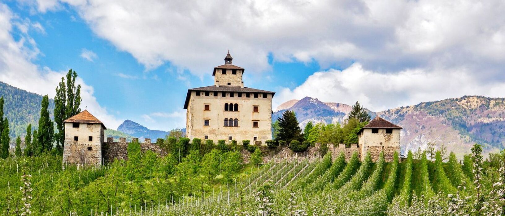 Weekend in Val di Non tra Meleti in fiore & Castelli Weekend in Val di Non tra Meleti in fiore & Castelli desktop picture