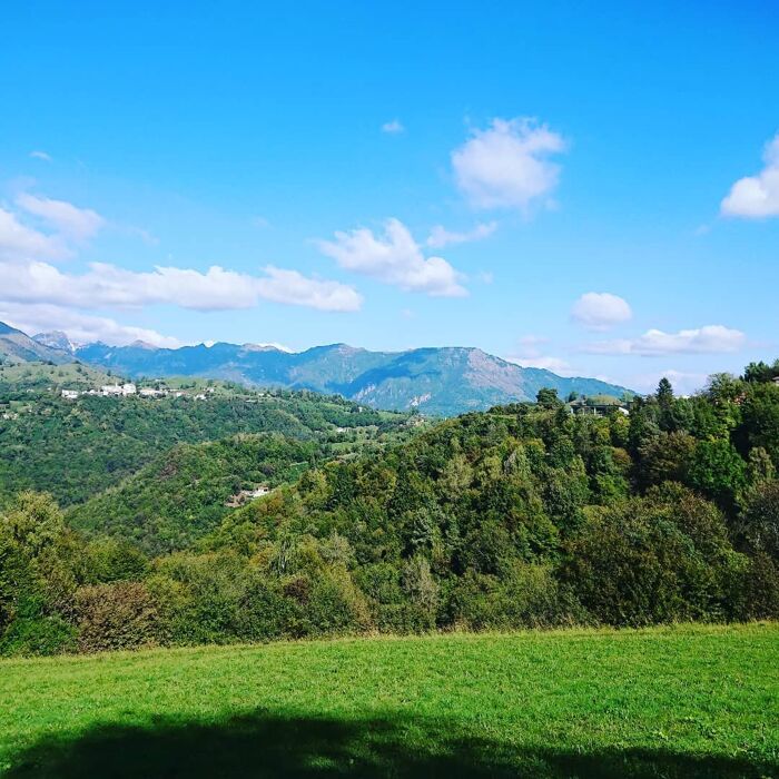 Meeters & Gengle: Passeggiata tra coccodrilli, coralli e fossili di Bolca Meeters & Gengle: Passeggiata tra coccodrilli, coralli e fossili di Bolca desktop picture