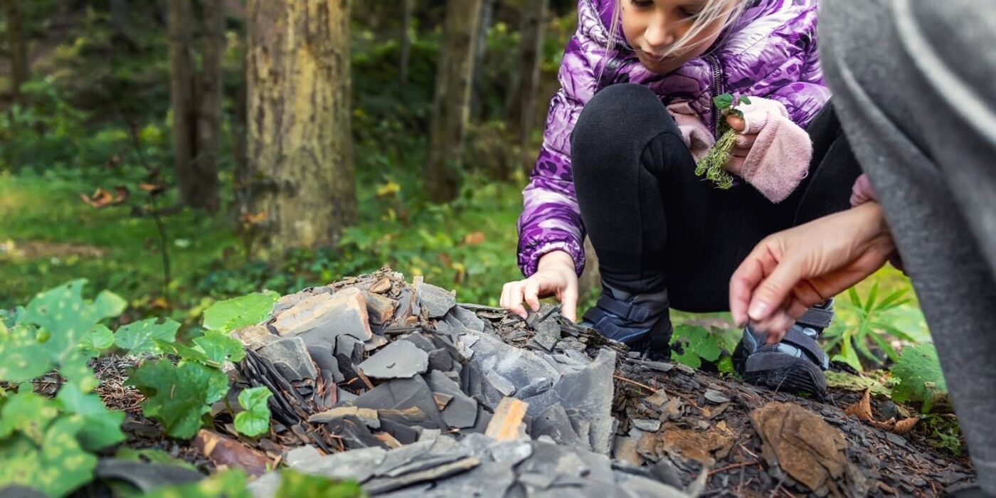 Meeters & Gengle: Passeggiata tra coccodrilli, coralli e fossili di Bolca Meeters & Gengle: Passeggiata tra coccodrilli, coralli e fossili di Bolca desktop picture