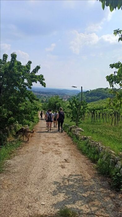 BEAT - Passeggiata a Marano di Valpolicella con Degustazione in Cantina (solo donne) BEAT - Passeggiata a Marano di Valpolicella con Degustazione in Cantina (solo donne) desktop picture