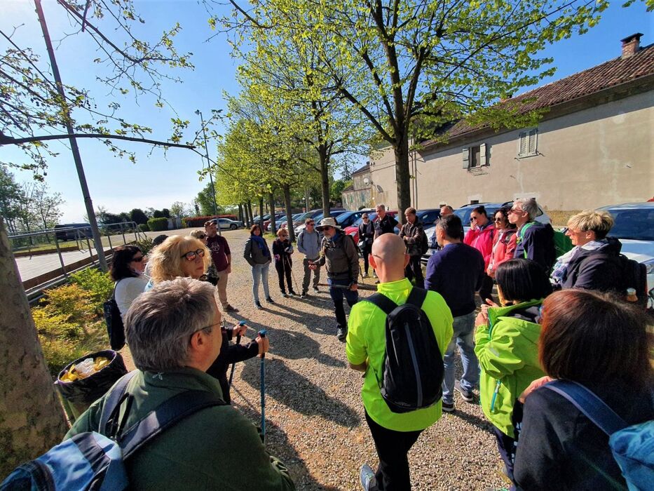 Camminata e Picnic di Pasquetta tra le Orchidee in Fiore del Monferrato Camminata e Picnic di Pasquetta tra le Orchidee in Fiore del Monferrato desktop picture