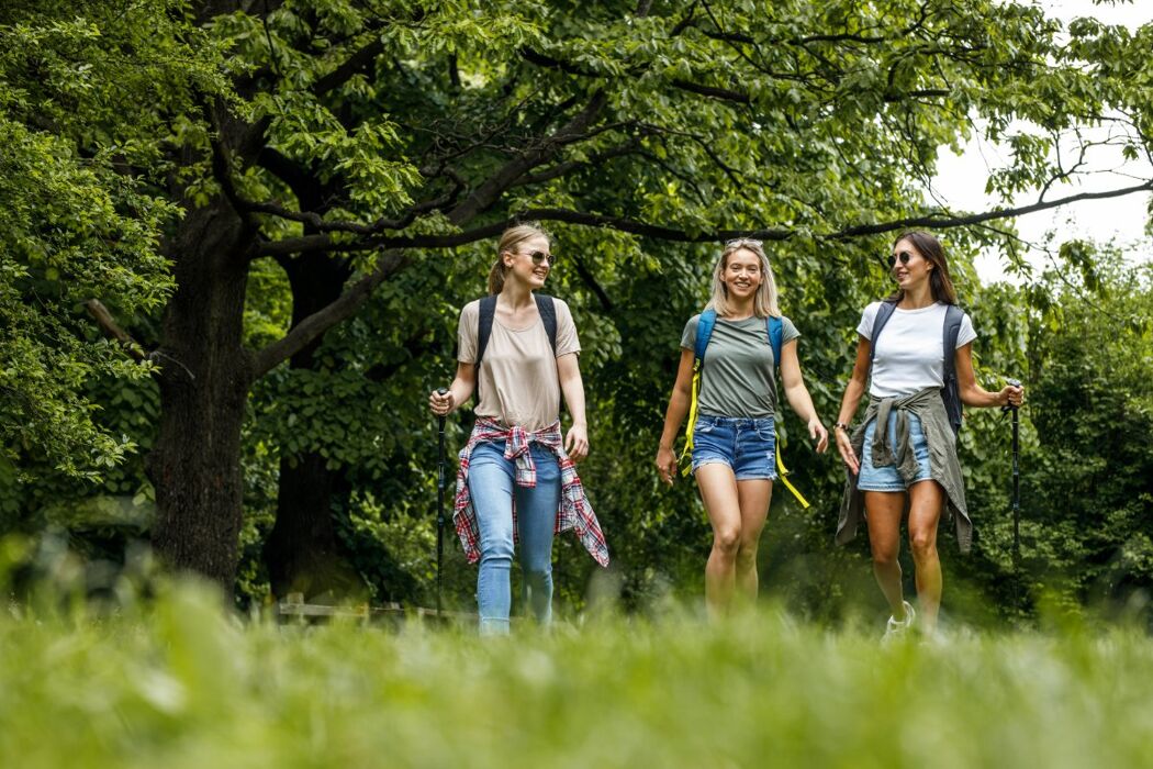 BEAT - Trekking dal Parco della Chiusa al Parco San Pellegrino (solo donne) BEAT - Trekking dal Parco della Chiusa al Parco San Pellegrino (solo donne) desktop picture