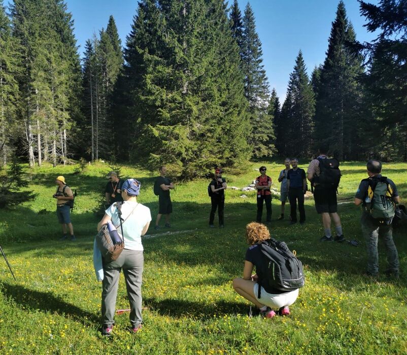 Trekking con cena tra i boschi dell'Altopiano dei Sette Comuni Trekking con cena tra i boschi dell'Altopiano dei Sette Comuni desktop picture