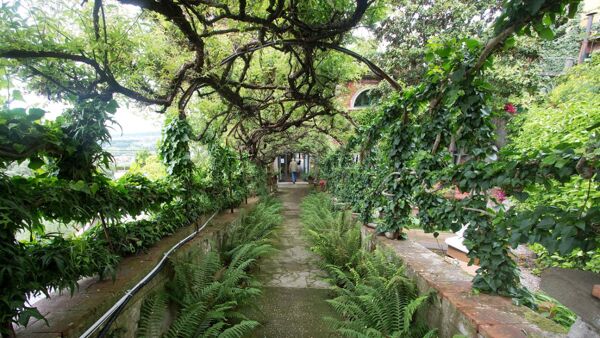 event-Visita Guidata dei Meravigliosi Secret Gardens di Buggiano Castello