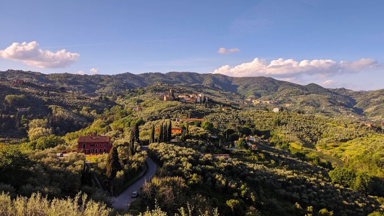 Visita Guidata dei Secret Gardens con aperitivo al tramonto Visita Guidata dei Secret Gardens con aperitivo al tramonto desktop picture