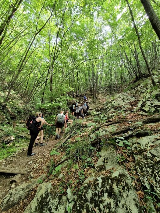 Trekking sul Monte Comer: un balcone sul Baldo e sul Lago di Garda Trekking sul Monte Comer: un balcone sul Baldo e sul Lago di Garda desktop picture