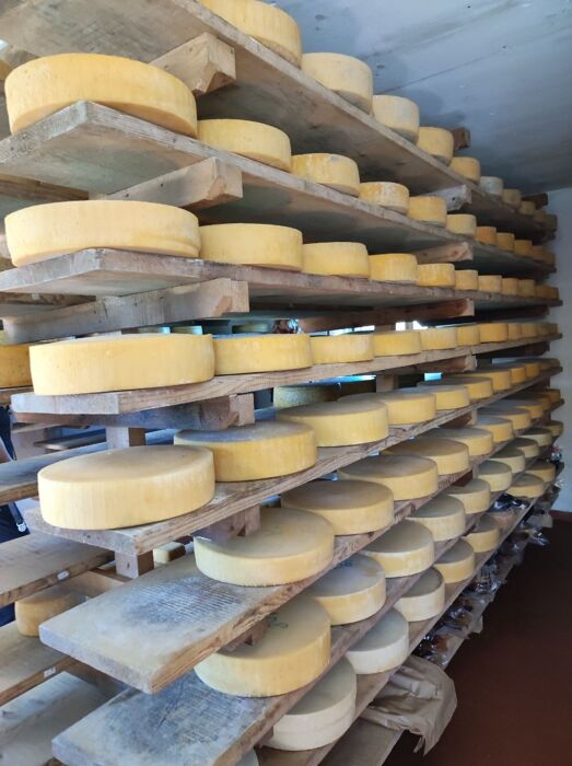 Trekking con degustazione nella natura sconfinata del Monte Melette Trekking con degustazione nella natura sconfinata del Monte Melette desktop picture