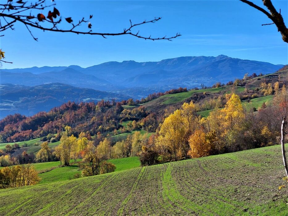 Escursione nella storia a Carpineti con cena finale Escursione nella storia a Carpineti con cena finale desktop picture