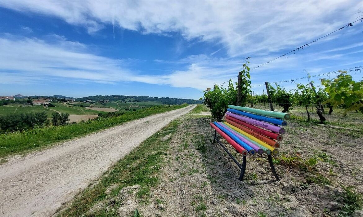 Sala Monferrato: Itinerario ad anello tra Santi e Vigneti Sala Monferrato: Itinerario ad anello tra Santi e Vigneti desktop picture