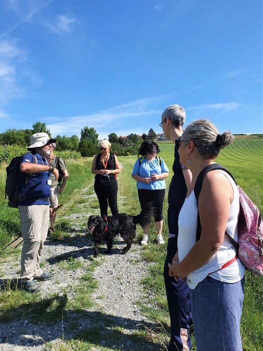Sala Monferrato: Itinerario ad anello tra Santi e Vigneti Sala Monferrato: Itinerario ad anello tra Santi e Vigneti desktop picture