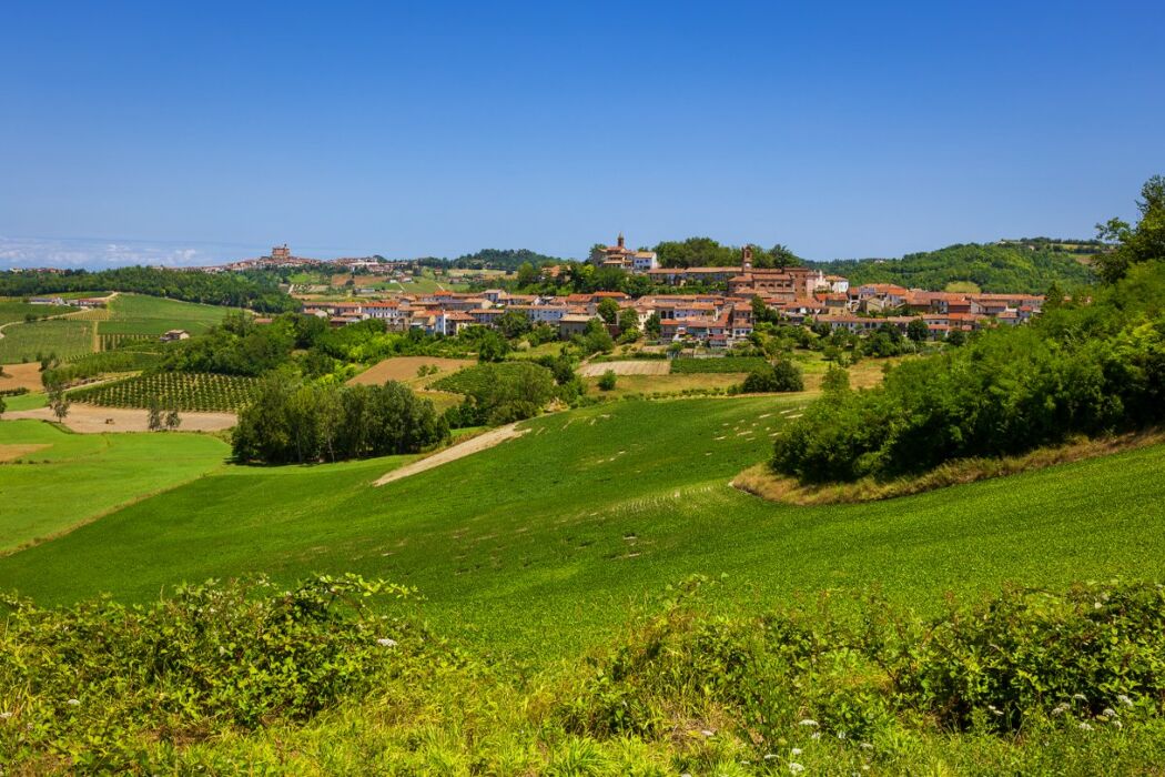 Sala Monferrato: Itinerario ad anello tra Santi e Vigneti Sala Monferrato: Itinerario ad anello tra Santi e Vigneti desktop picture