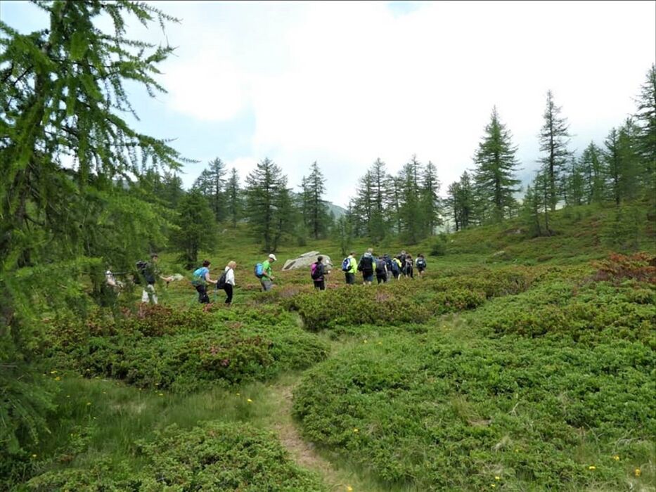 Trekking in Val Bognanco: L’incontaminata Valle delle Cento Cascate Trekking in Val Bognanco: L’incontaminata Valle delle Cento Cascate desktop picture