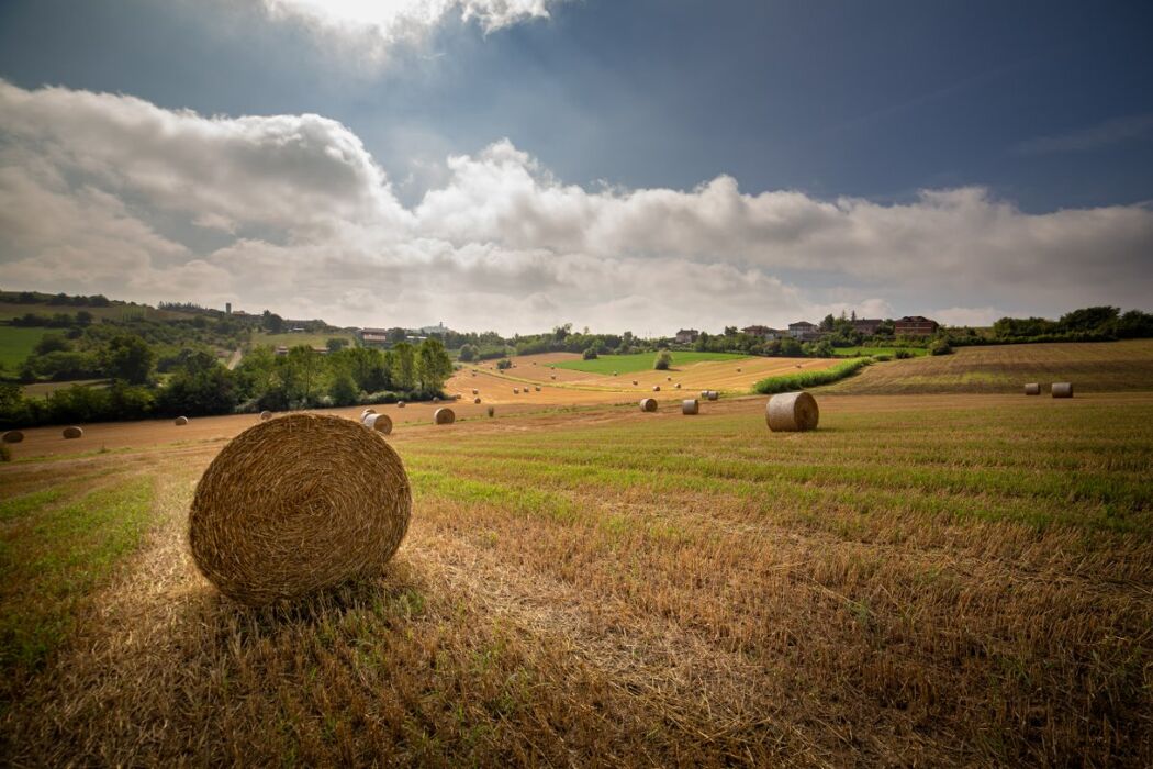 Ponzano Monferrato: Il Sentiero dei Giardini tra Colli e Ville Antiche Ponzano Monferrato: Il Sentiero dei Giardini tra Colli e Ville Antiche desktop picture