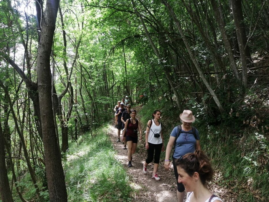 In un Mare di Lavanda: Escursione nella "Provenza Piemontese" In un Mare di Lavanda: Escursione nella "Provenza Piemontese" desktop picture