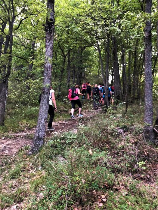 Trekking al Tramonto nel Parco Regionale di Monte Sole Trekking al Tramonto nel Parco Regionale di Monte Sole desktop picture