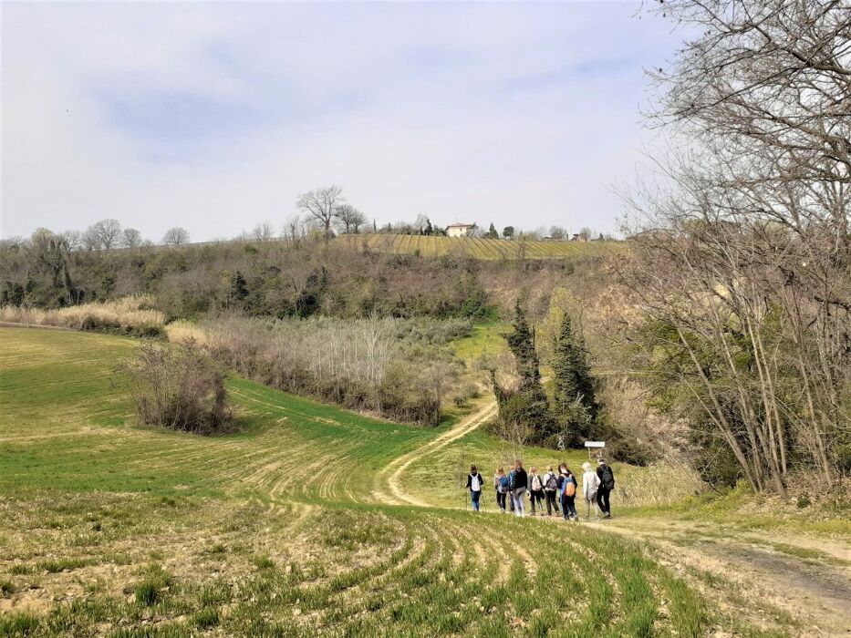 Tour Guidato tra i Murales di Dozza con Pizzata Finale Tour Guidato tra i Murales di Dozza con Pizzata Finale desktop picture