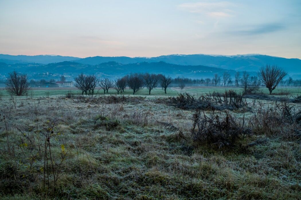 Meeters & Gengle: Passeggiata Serale alla ricerca delle Lucciole Meeters & Gengle: Passeggiata Serale alla ricerca delle Lucciole desktop picture