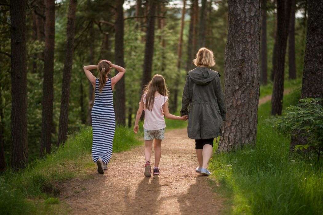 Meeters & Gengle: Passeggiata Serale alla ricerca delle Lucciole Meeters & Gengle: Passeggiata Serale alla ricerca delle Lucciole desktop picture