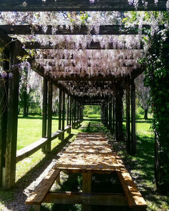 Laboratorio nel Parco del Centenario: La “Ricerca della Felicità” Laboratorio nel Parco del Centenario: La “Ricerca della Felicità” desktop picture