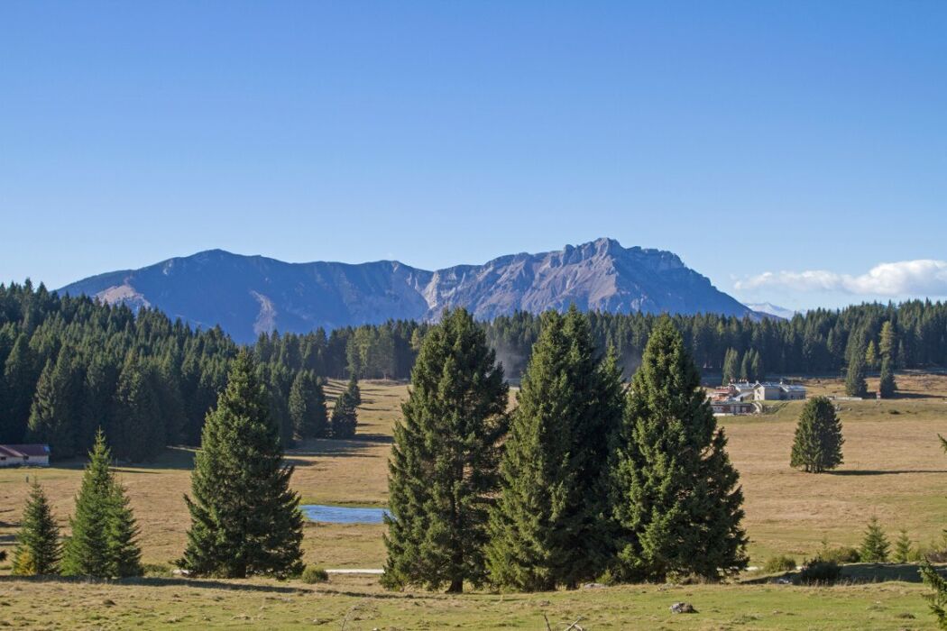 Il Drago di Lavarone: Un Trekking ad Opera d'Arte Il Drago di Lavarone: Un Trekking ad Opera d'Arte desktop picture