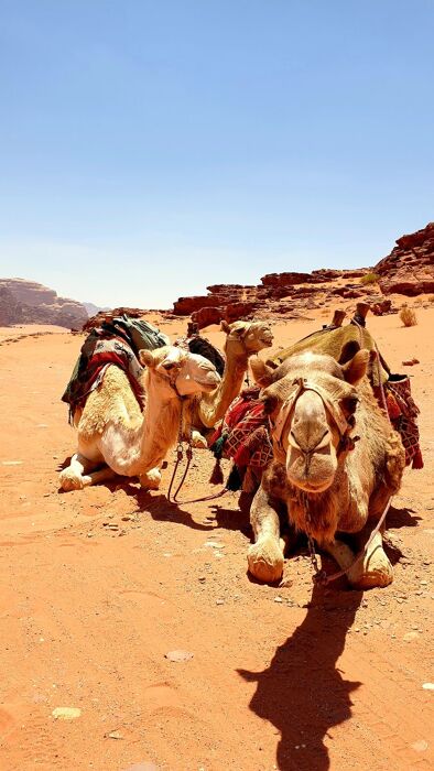 Viaggio di gruppo in Giordania: Petra e Notte nel Deserto Viaggio di gruppo in Giordania: Petra e Notte nel Deserto desktop picture