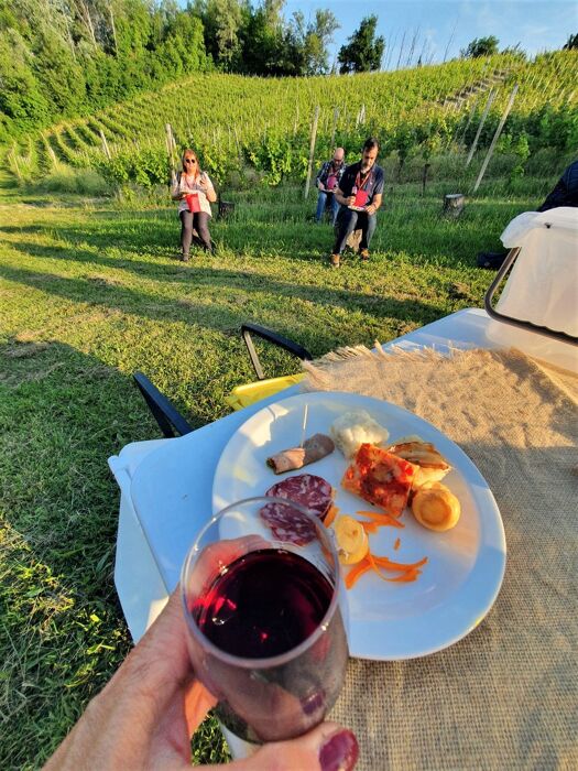 Aperitivo con Degustazione di Vino tra le Vigne di Morsasco Aperitivo con Degustazione di Vino tra le Vigne di Morsasco desktop picture
