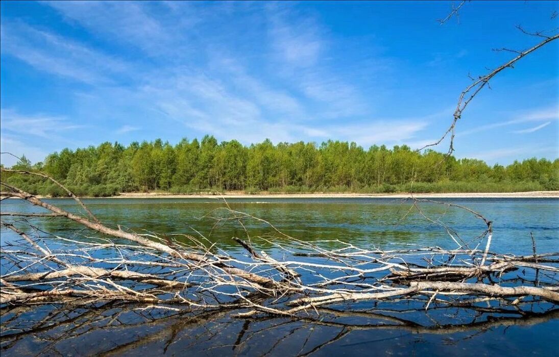 Camminata tra antichi boschi e riserve nel Parco del Ticino Camminata tra antichi boschi e riserve nel Parco del Ticino desktop picture