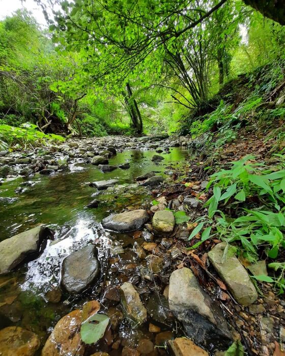 Trekking nelle verdi Gole di Blera Trekking nelle verdi Gole di Blera desktop picture