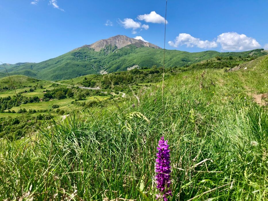 Trekking panoramico a Vallisnera: la Cascata della Carvara Trekking panoramico a Vallisnera: la Cascata della Carvara desktop picture