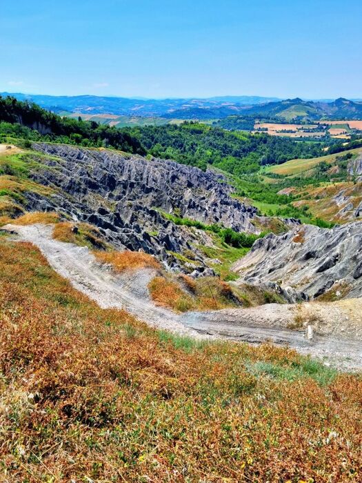 San Lorenzo in Collina: Un'Escursione tra la Lavanda San Lorenzo in Collina: Un'Escursione tra la Lavanda desktop picture