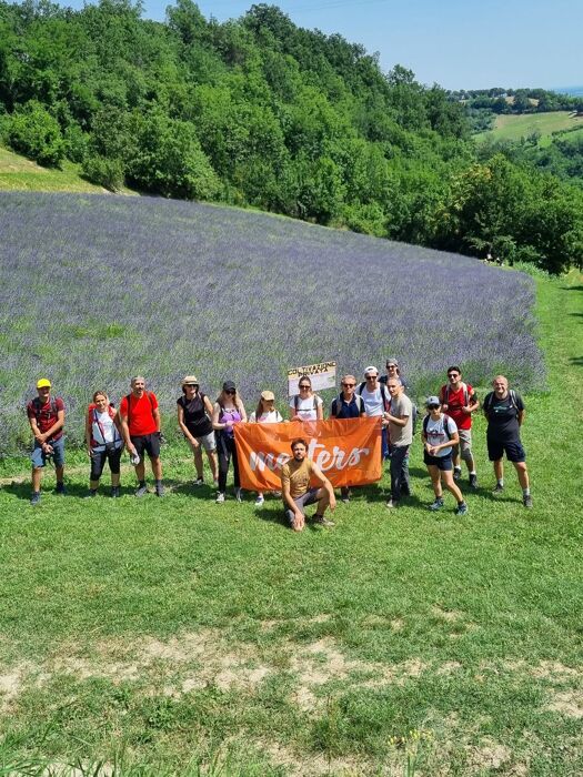 San Lorenzo in Collina: Un'Escursione tra la Lavanda San Lorenzo in Collina: Un'Escursione tra la Lavanda desktop picture